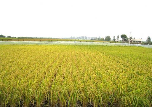 點擊查看詳細信息<br>標(biāo)題：   閱讀次數(shù)：3005